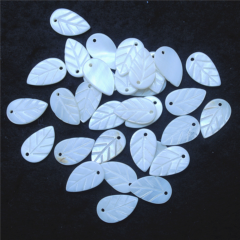 30 buah daun cangkang putih be - Women Fashion Nz ulasan dan harga